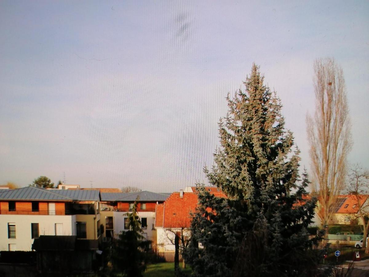 L'appart' Des Maraichers - Au Calme - Terrasse & Garage Appartement