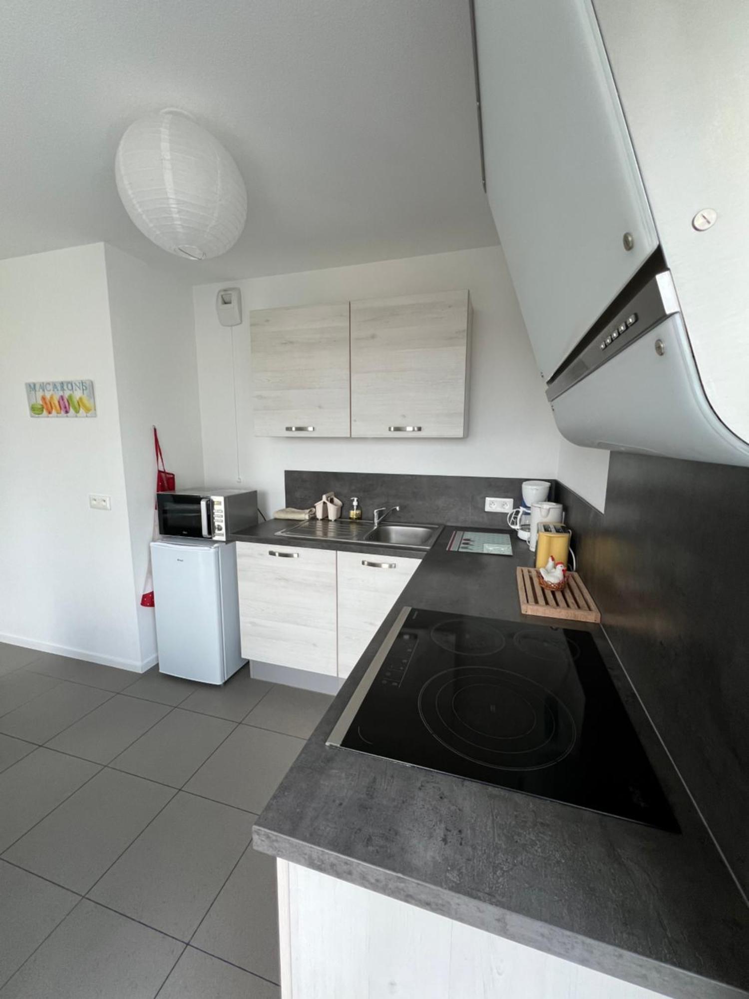 Apartment L'appart' Des Maraichers - Au Calme - Terrasse & Garage Colmar